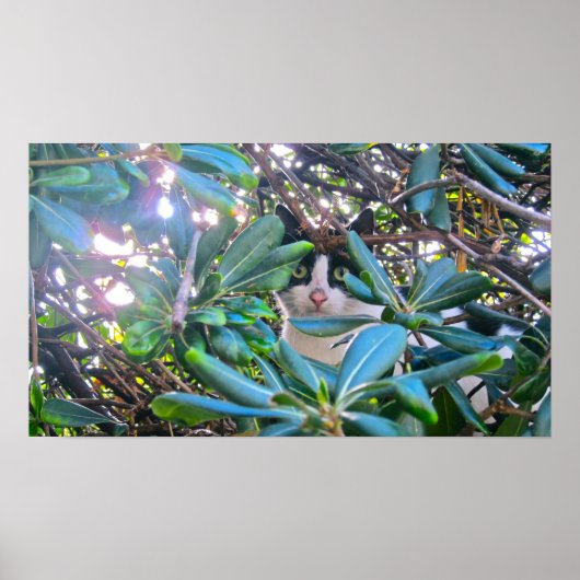 葉を通して ポスター (正面)