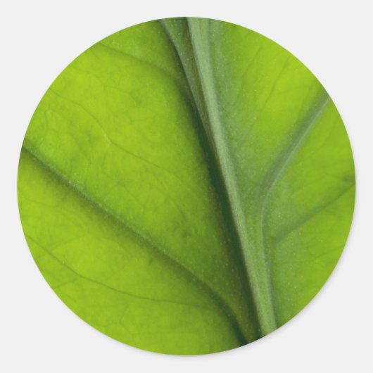 葉を閉じる ラウンドシール (正面)