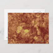 葉カモフラージュ模様に対する黄色い花 ポストカード (正面/裏面)