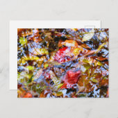 葉カラフルの形状ツリーの反射 ポストカード (正面/裏面)