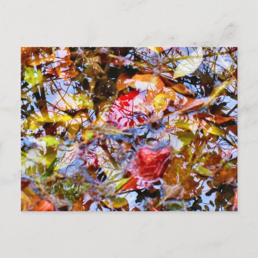 葉カラフルの形状ツリーの反射 ポストカード (正面)