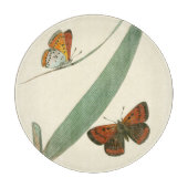 葉カラフルを舞うのまわりに蝶 カッティングボード (正面)