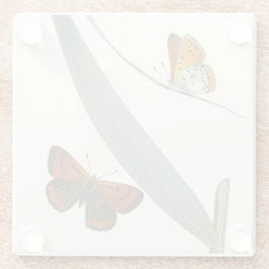 葉カラフルを舞うのまわりに蝶 ガラスコースター (裏面)