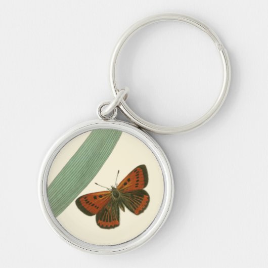 葉カラフルを舞うのまわりに蝶 キーホルダー (正面)