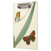 葉カラフルを舞うのまわりに蝶 クリップボード (左)
