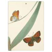 葉カラフルを舞うのまわりに蝶 クリップボード (裏面)