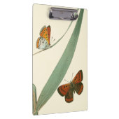 葉カラフルを舞うのまわりに蝶 クリップボード (右)