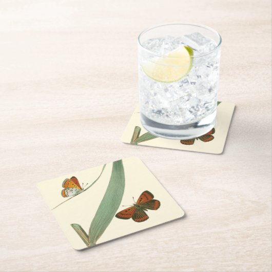 葉カラフルを舞うのまわりに蝶 スクエアペーパーコースター (インサイチュ)