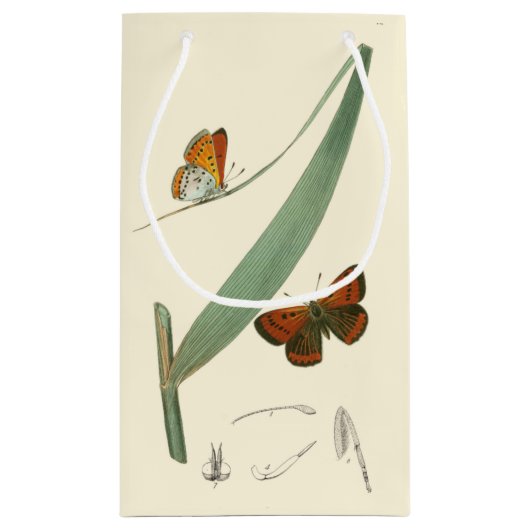 葉カラフルを舞うのまわりに蝶 スモールペーパーバッグ (裏面)