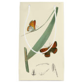 葉カラフルを舞うのまわりに蝶 スモールペーパーバッグ (正面)