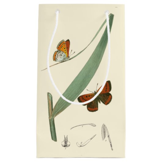 葉カラフルを舞うのまわりに蝶 スモールペーパーバッグ (正面)