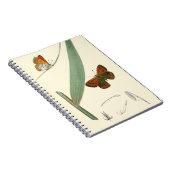 葉カラフルを舞うのまわりに蝶 ノートブック (右側)