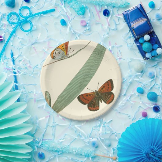 葉カラフルを舞うのまわりに蝶 ペーパープレート (パーティー)