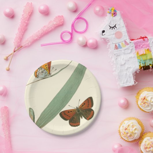 葉カラフルを舞うのまわりに蝶 ペーパープレート (パーティー)