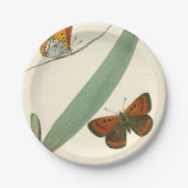 葉カラフルを舞うのまわりに蝶 ペーパープレート (正面)