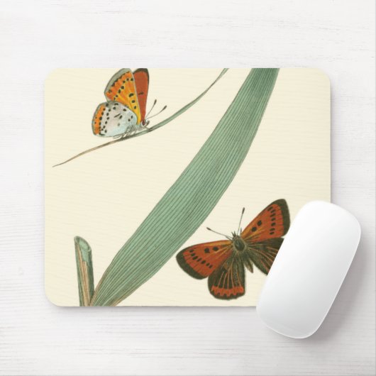 葉カラフルを舞うのまわりに蝶 マウスパッド (マウス)