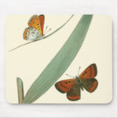 葉カラフルを舞うのまわりに蝶 マウスパッド (正面)