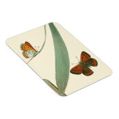 葉カラフルを舞うのまわりに蝶 マグネット (右側)