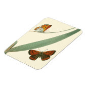 葉カラフルを舞うのまわりに蝶 マグネット (左側)