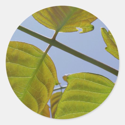 葉シール ラウンドシール (正面)