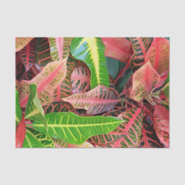 葉ティッシュペーパー 薄葉紙