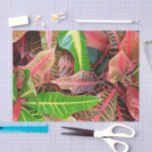 葉ティッシュペーパー 薄葉紙 (クラフト)