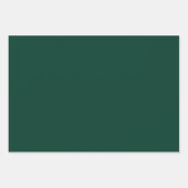 葉パターン ラッピングペーパーシート (正面3)