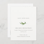 葉ミニマル樹緑の水の色は日付以外 案内ポストカード (正面/裏面)