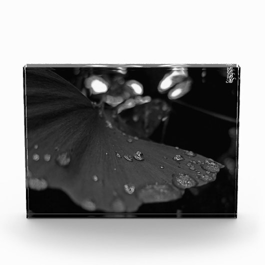 葉上の黒白の露 フォトブロック (正面)