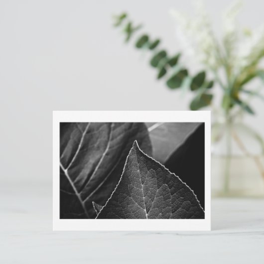 葉人 ポストカード (スタンド正面)