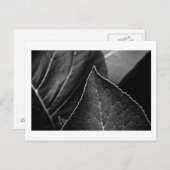 葉人 ポストカード (正面/裏面)