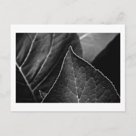 葉人 ポストカード