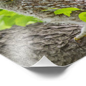 葉付きキャノピーに入った鉄輪 フォトプリント            (角)