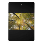 葉付き天蓋 ミニクリップボード (裏面)