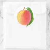 葉付き桃1本 ラウンドシール (バッグ)