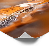 葉傘がかわいいリス – 秋の雨 ポスター (角)