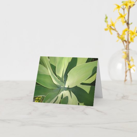 葉及び影 カード (黄色い花)