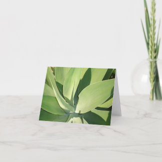 葉及び影v2 カード