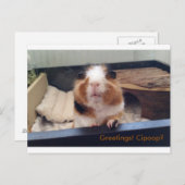 葉巻ウンチポストカード ポストカード (正面/裏面)