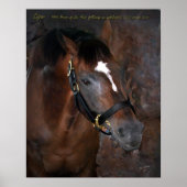 葉巻 ポスター (正面)