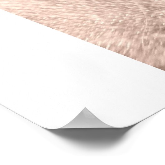 葉巻II ポスター (角)