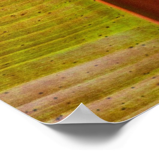 葉感動的板 ポスター (角)