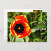 葉書が大好き ポストカード (正面/裏面)