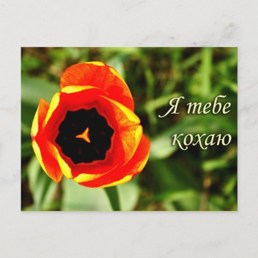 葉書が大好き ポストカード (正面)