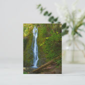 葉書の滝（森） ポストカード (スタンド正面)