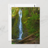 葉書の滝（森） ポストカード (正面/裏面)