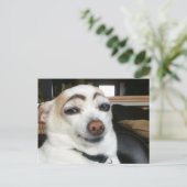 葉書アイブロウドッグミーム ポストカード (スタンド正面)