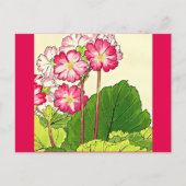 葉書ヴィンテージア日本のート谷上湖南16 ポストカード (正面)