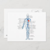 葉書人脈循環系 ポストカード (正面/裏面)