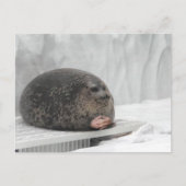 葉書判定シールミーム ポストカード (正面)